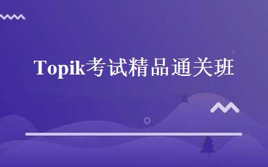 Topik考试精品通关班 
