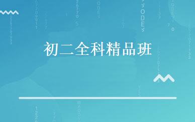 初二全科精品班 
