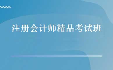 注册会计师精品考试班 