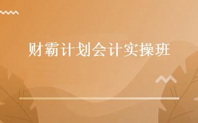 财霸计划会计实操班 