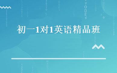 初一1对1英语精品班 