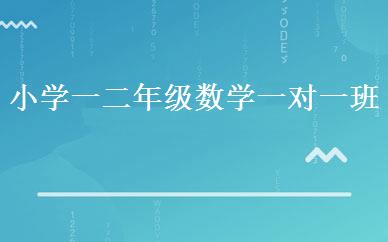 小学一二年级数学一对一班 