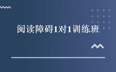 阅读障碍1对1训练班 