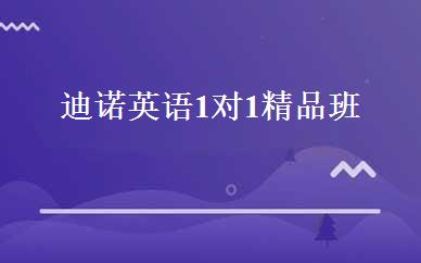 迪诺英语1对1精品班 
