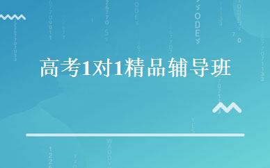 高考1对1精品辅导班 