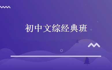 初中文综经典班 