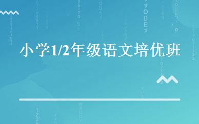 小学1/2年级语文培优班 