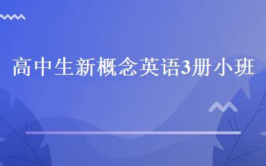 高中生新概念英语3册小班 