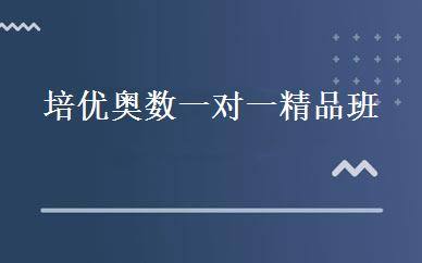 培优奥数一对一精品班 