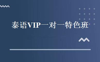 泰语VIP一对一特色班 