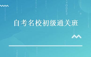 自考名校初级通关班 