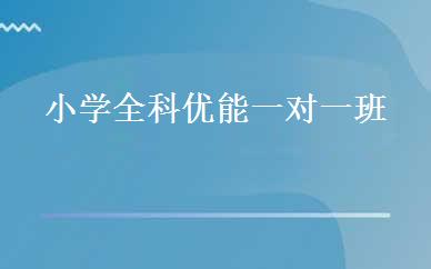 小学全科优能一对一班 