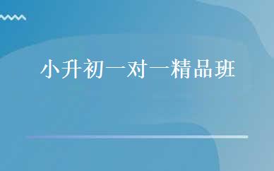 小升初一对一精品班  
