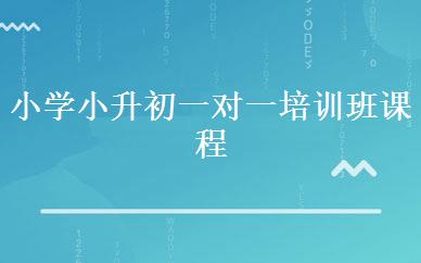 小学小升初一对一培训班课程