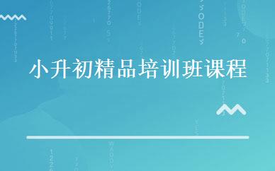 小升初精品培训班课程