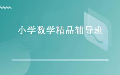 小学数学精品辅导班