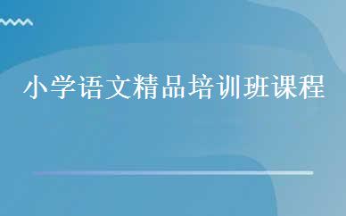 小学语文精品培训班课程