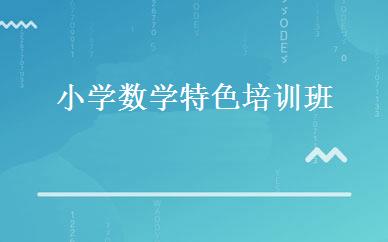 小学数学特色培训班