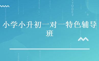 小学小升初一对一特色辅导班
