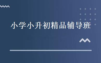 小学小升初精品辅导班
