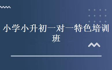 小学小升初一对一特色培训班