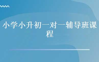 小学小升初一对一辅导班课程