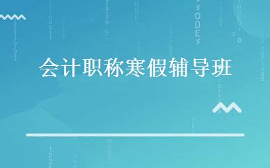 会计职称寒假辅导班
