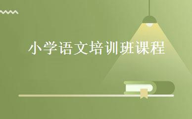 小学语文培训班课程