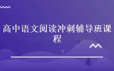 高中语文阅读冲刺辅导班课程
