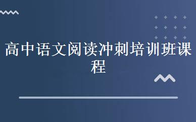 高中语文阅读冲刺培训班课程