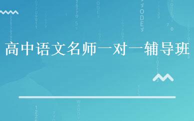 高中语文名师一对一辅导班