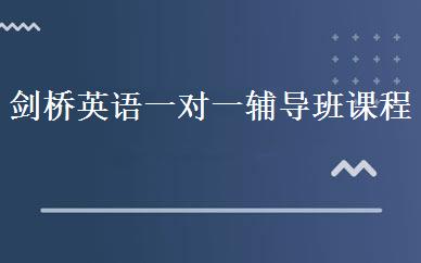 剑桥英语一对一辅导班课程