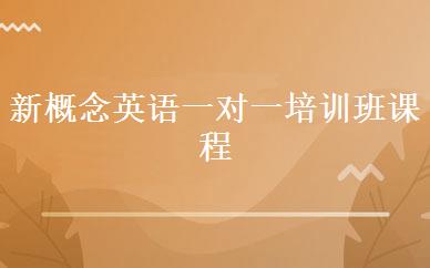 新概念英语一对一培训班课程