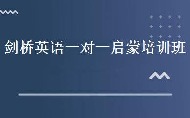 剑桥英语一对一启蒙培训班