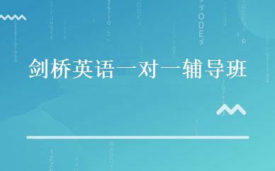 剑桥英语一对一辅导班