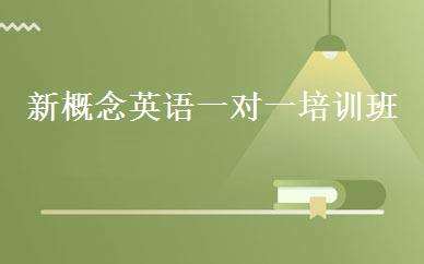 新概念英语一对一培训班