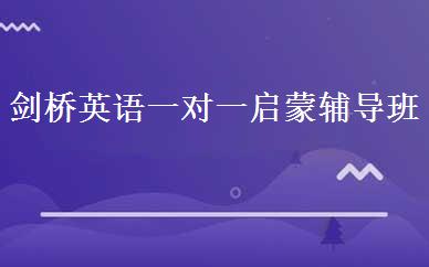 剑桥英语一对一启蒙辅导班