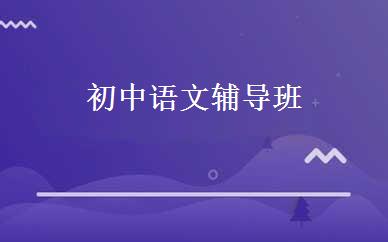 初中语文辅导班
