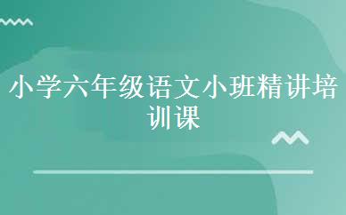 小学六年级语文小班精讲培训课程