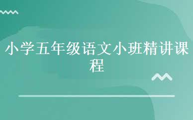 小学五年级语文小班精讲课程