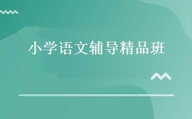 小学语文辅导精品班