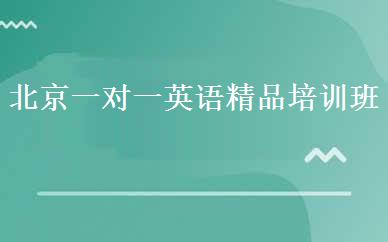 北京一对一英语精品培训班