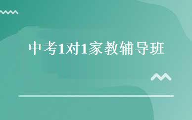 中考1对1家教辅导班