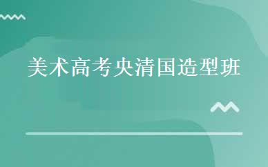 美术高考央清国造型班
