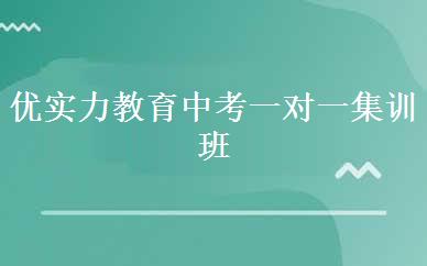 优实力教育中考一对一集训班