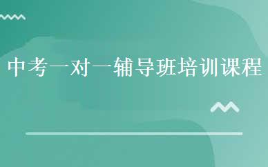 中考一对一辅导班培训课程