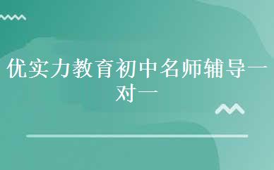 优实力教育初中名师辅导一对一培训