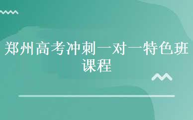 郑州高考冲刺一对一特色班课程
