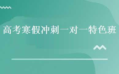 高考寒假冲刺一对一特色班