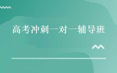 高考冲刺一对一辅导班